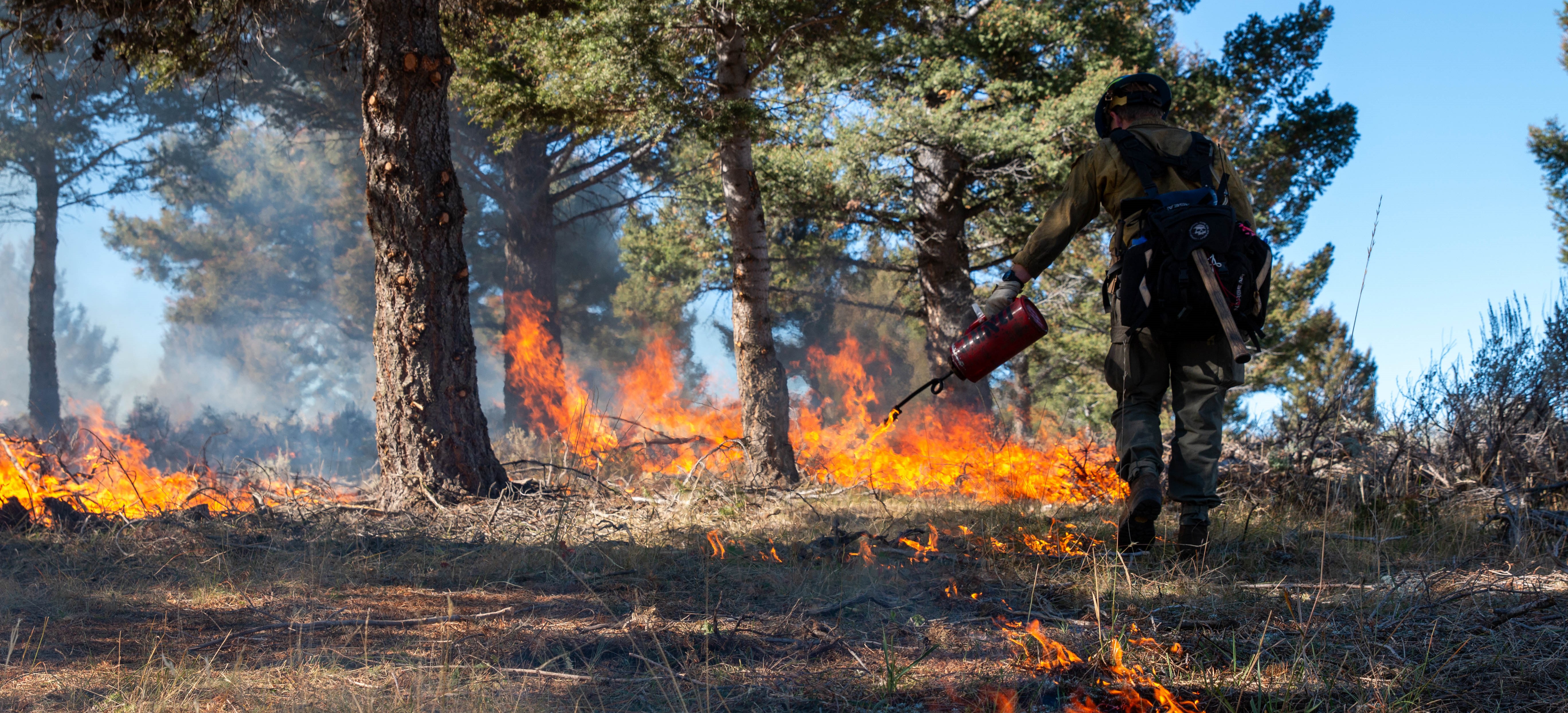 Collaboration is key…