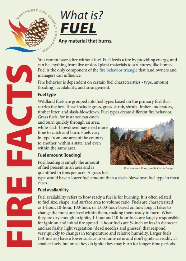 first page of what is fuel publication