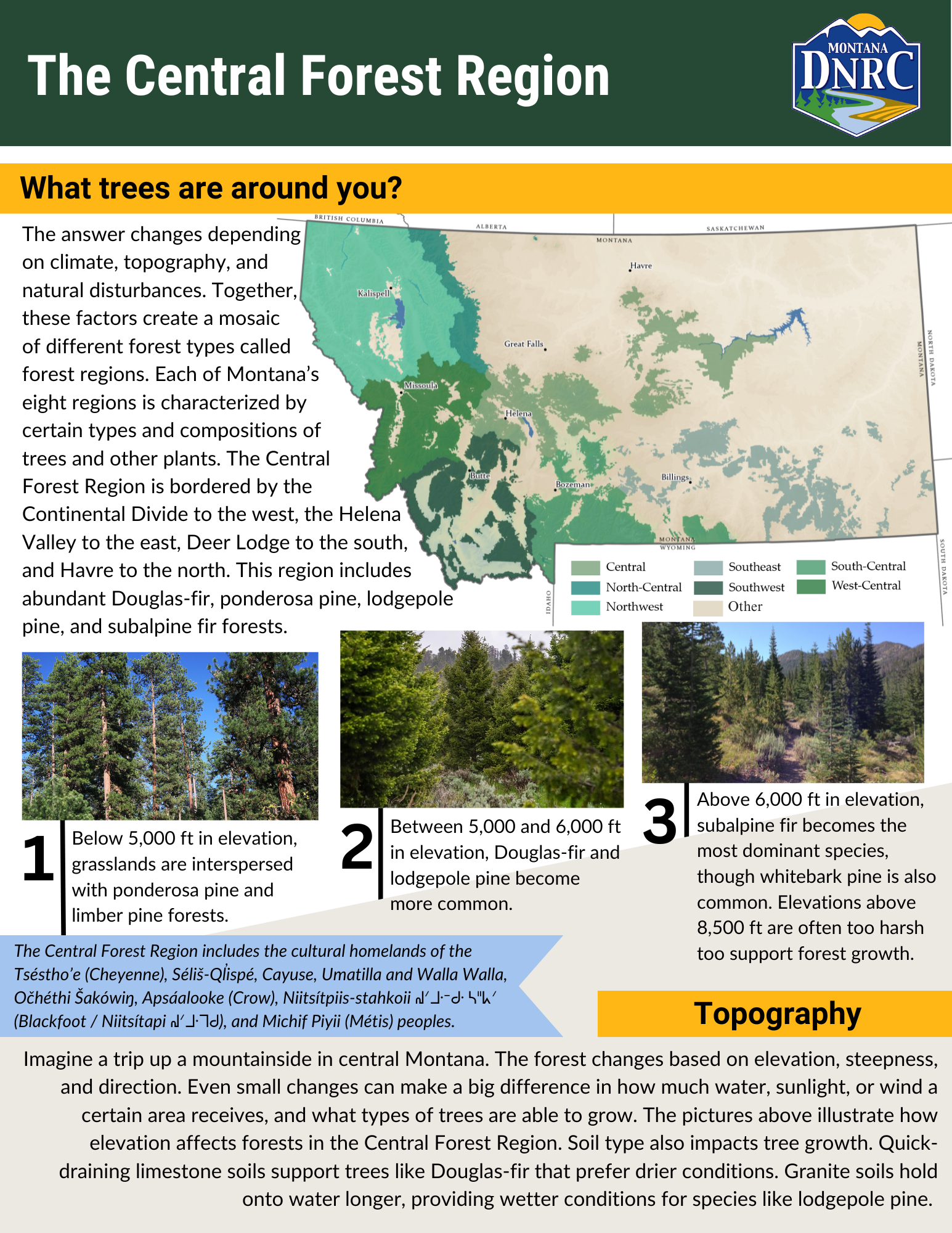 Central-Forest-Region-One-Pager.png