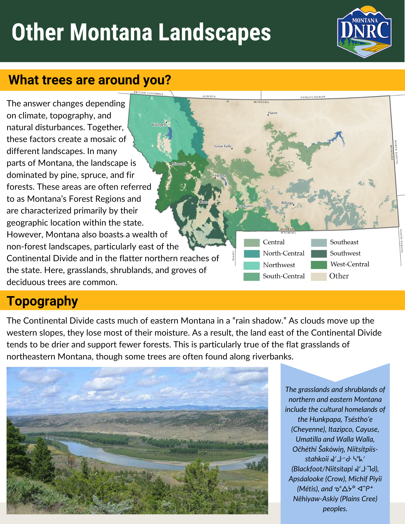 Northeastern-Forest-Region-One-Pager.png