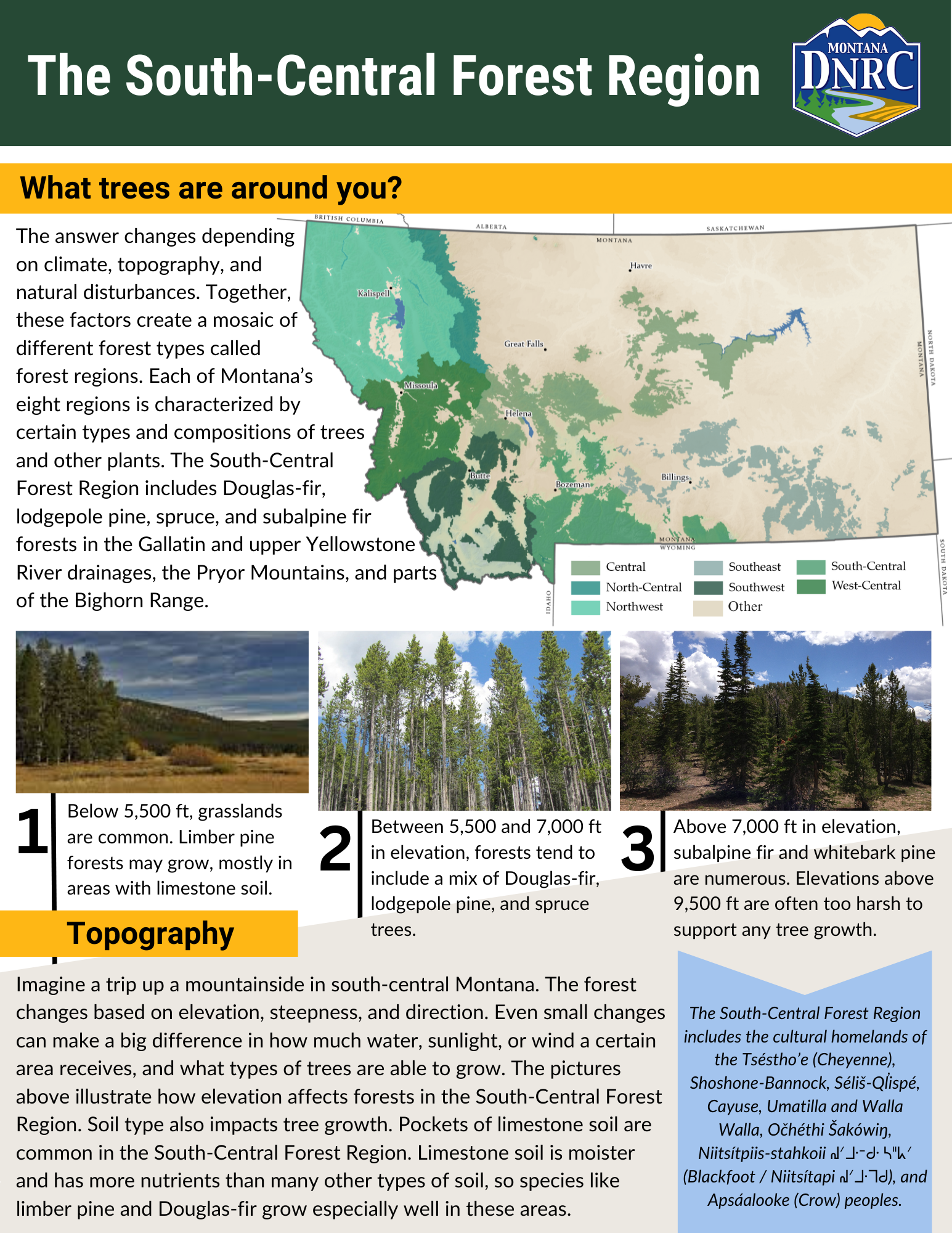 South-Central-Forest-Region-One-Pager.png