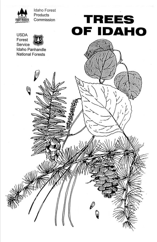 Front cover of Trees of Idaho with illustration of pine needles and deciduous leaves 