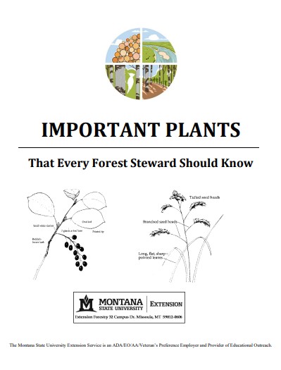 Front cover of Important Plans That Every Forest Steward Should Know