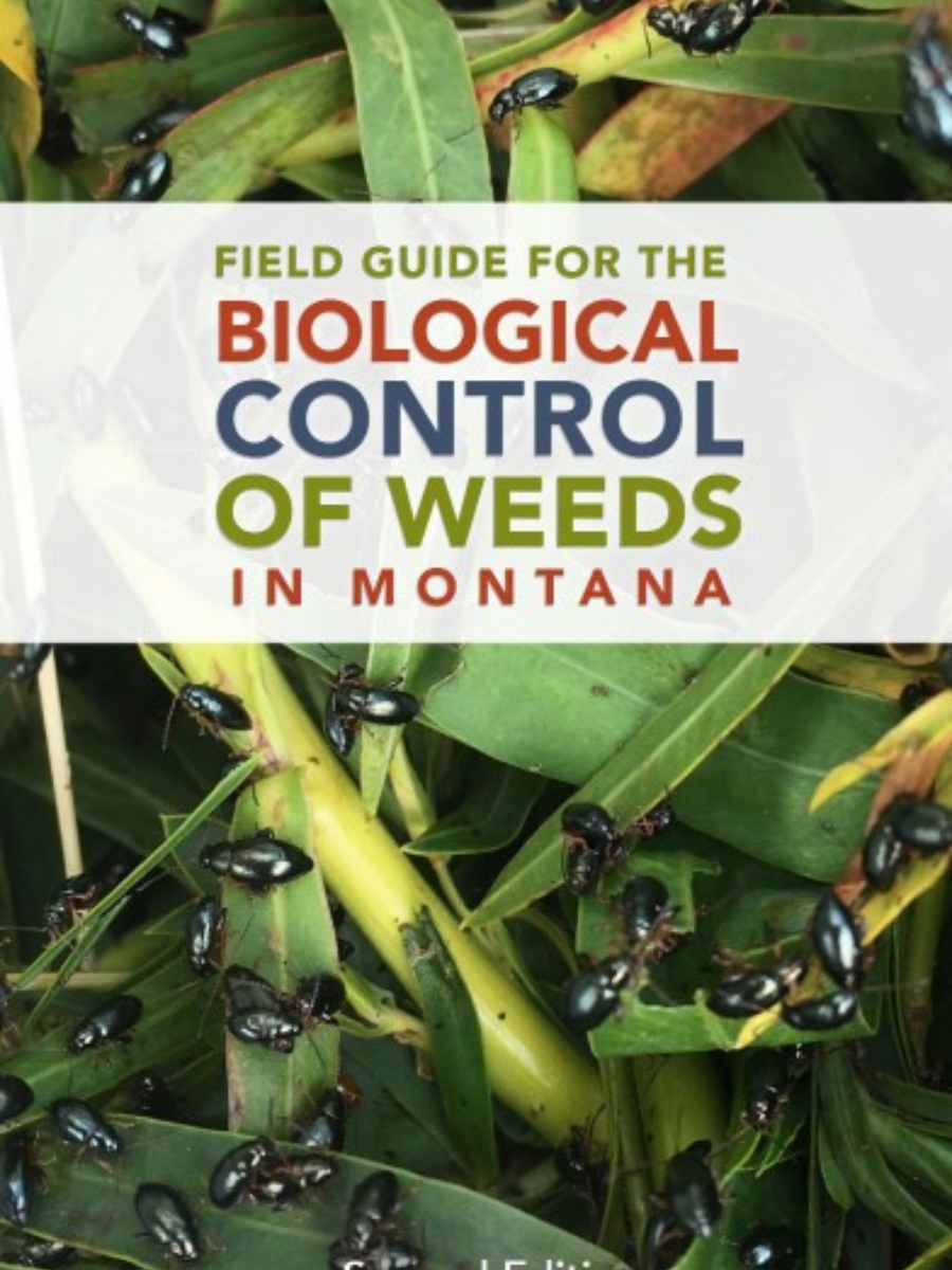 front cover of biological control of weeds field guide