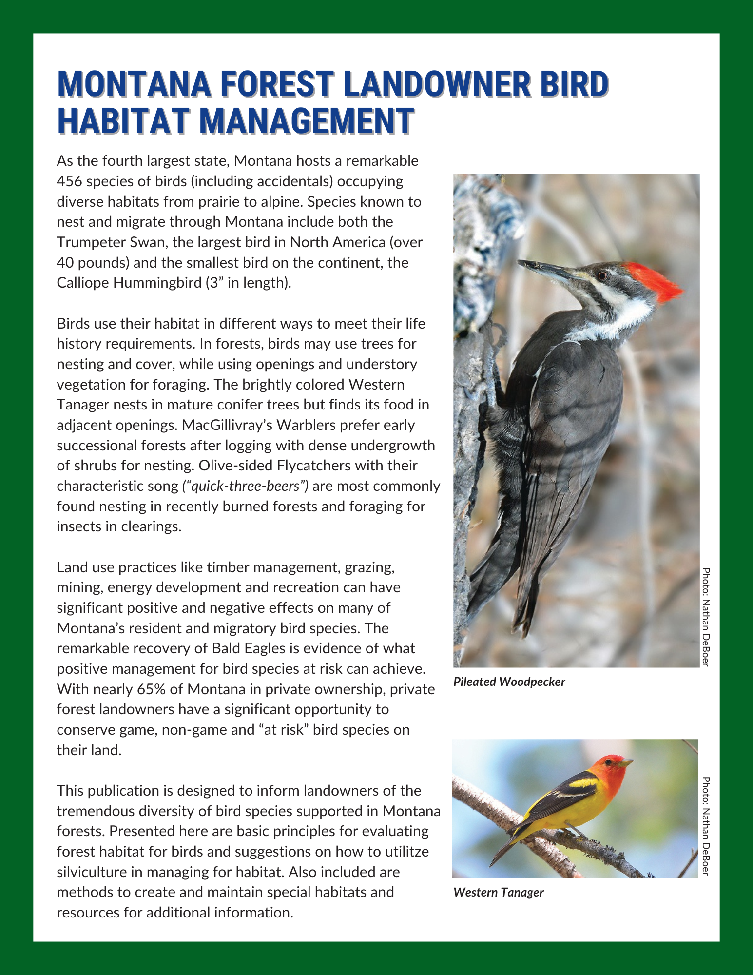 front cover of bird habitat guide with two birds