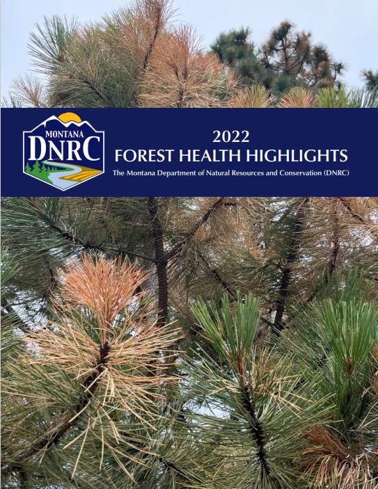 front cover of forest health highlights with unhealthy pine tree