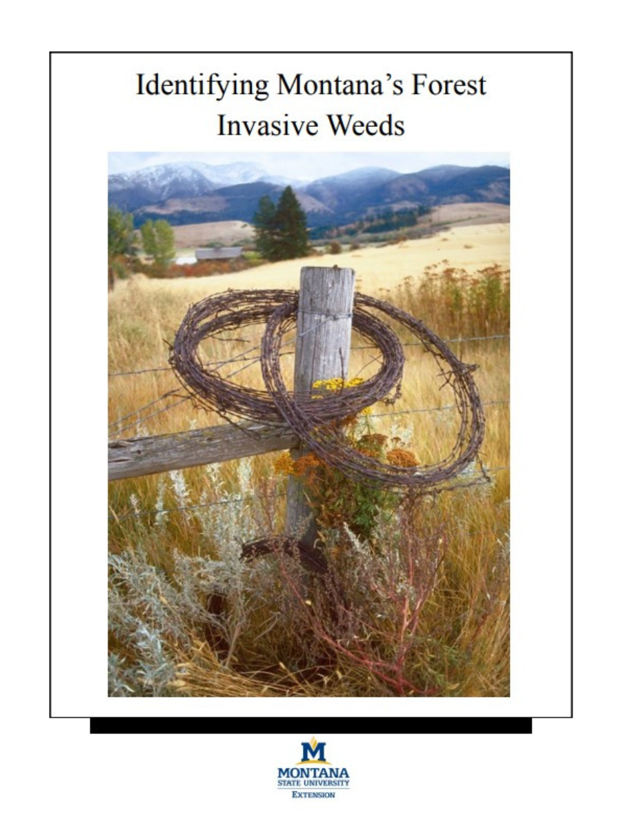 Front cover of Montana's Forest Invasive Weeds with picture of weeds in ag field against mountains