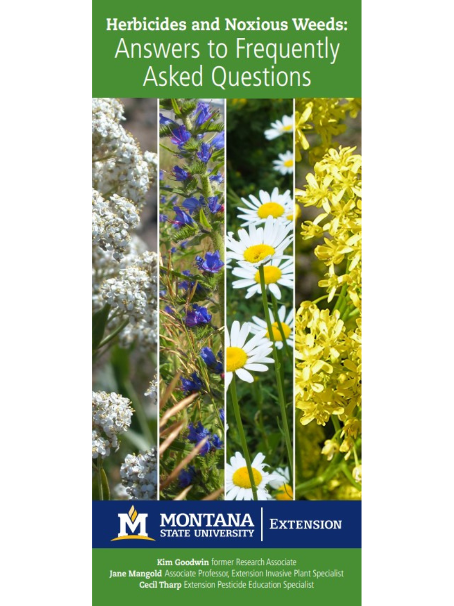 front cover of herbicides and noxious weed FAQs with pictures of noxious weeds