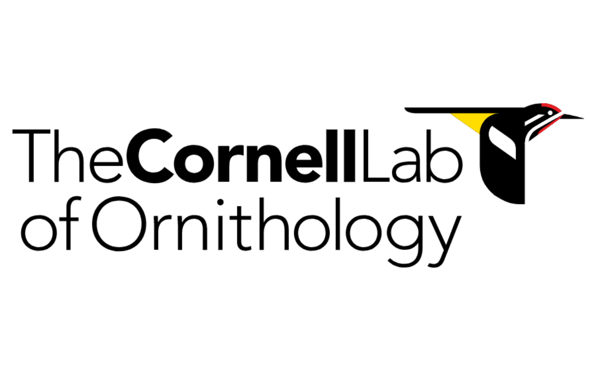 Cornell lab of ornithology logo with illustration of black and yellow bird