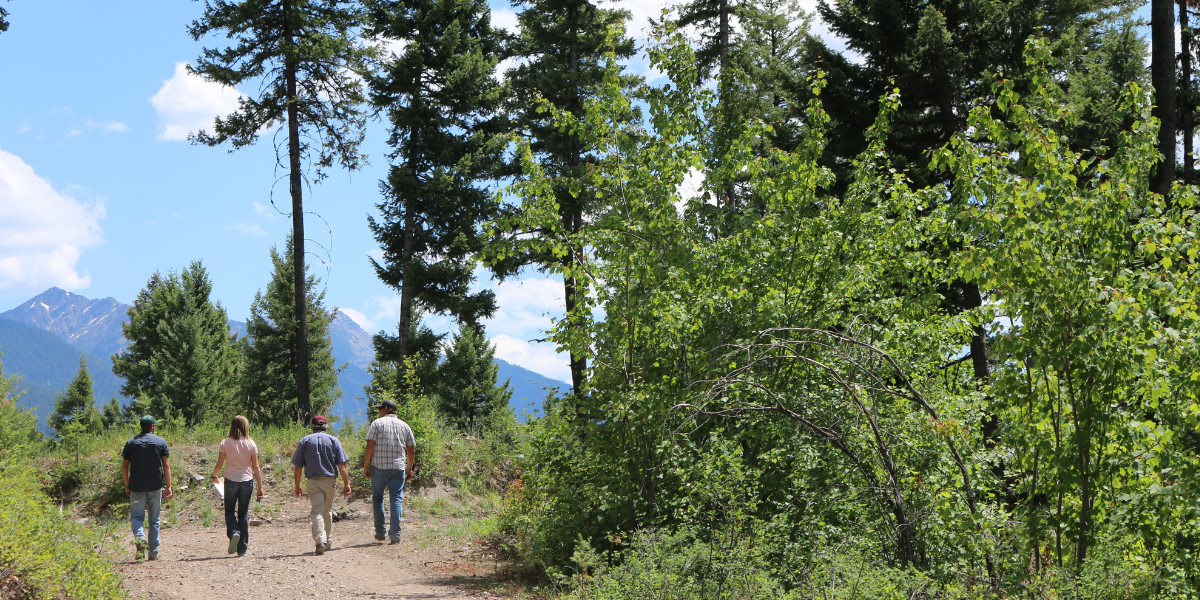 landowners walking in open forest