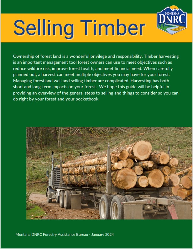 Front cover of Selling Timber Guide publication