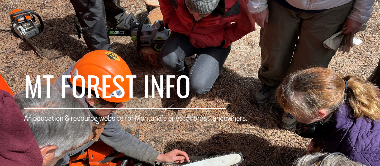 Group looking at part of chainsaw 