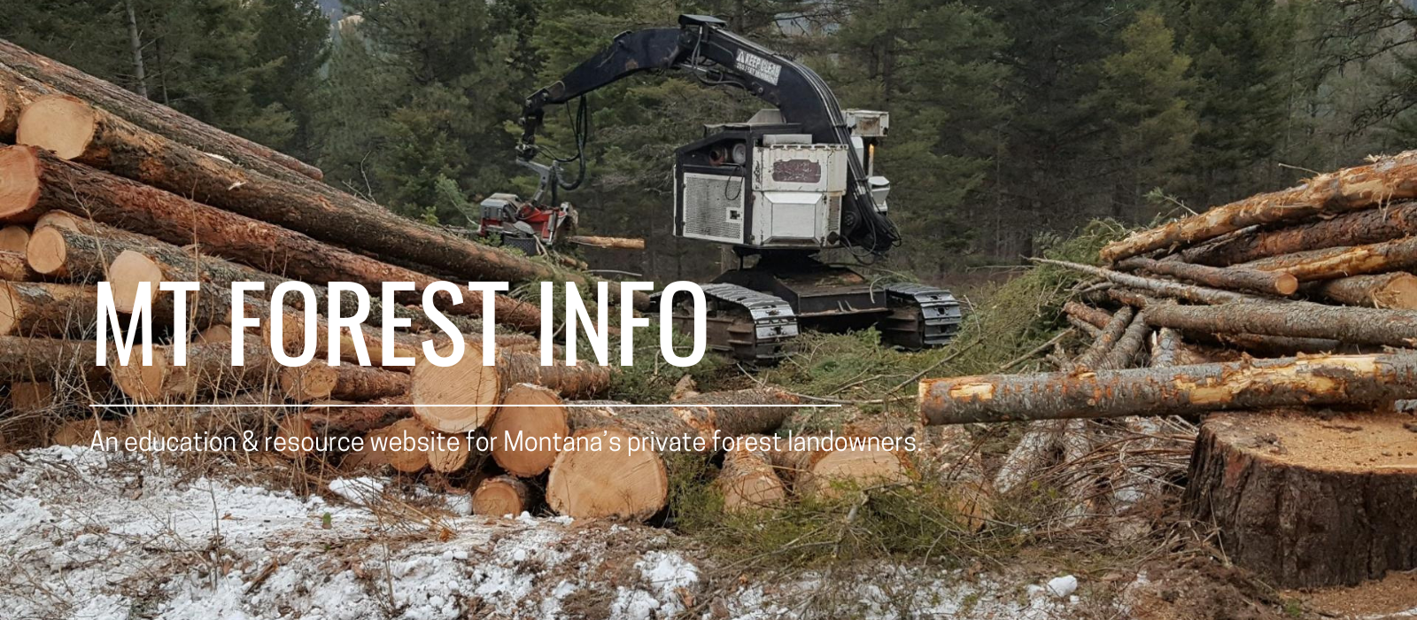 photo machine loading logs with mountain forest behind