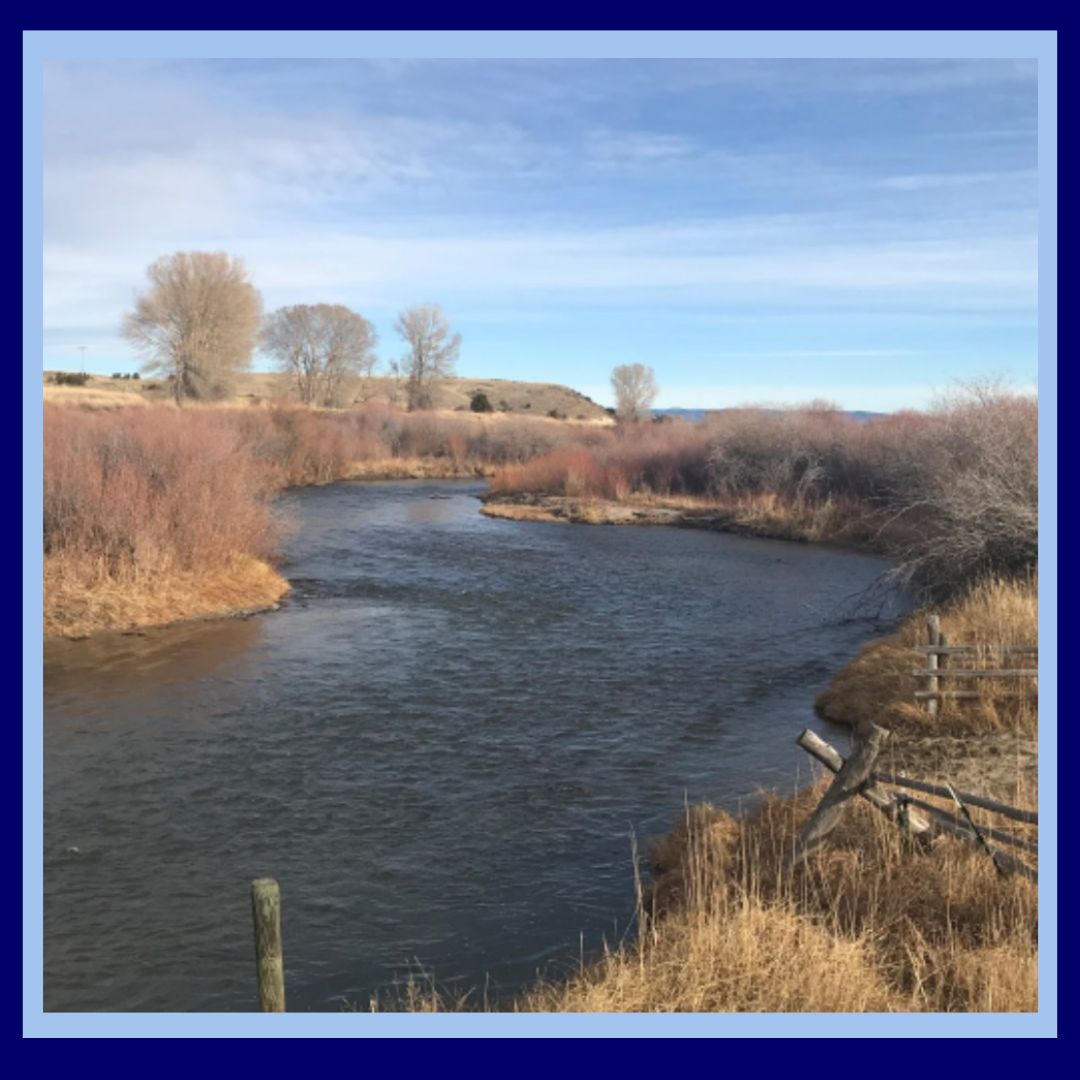 Jefferson County Project Button