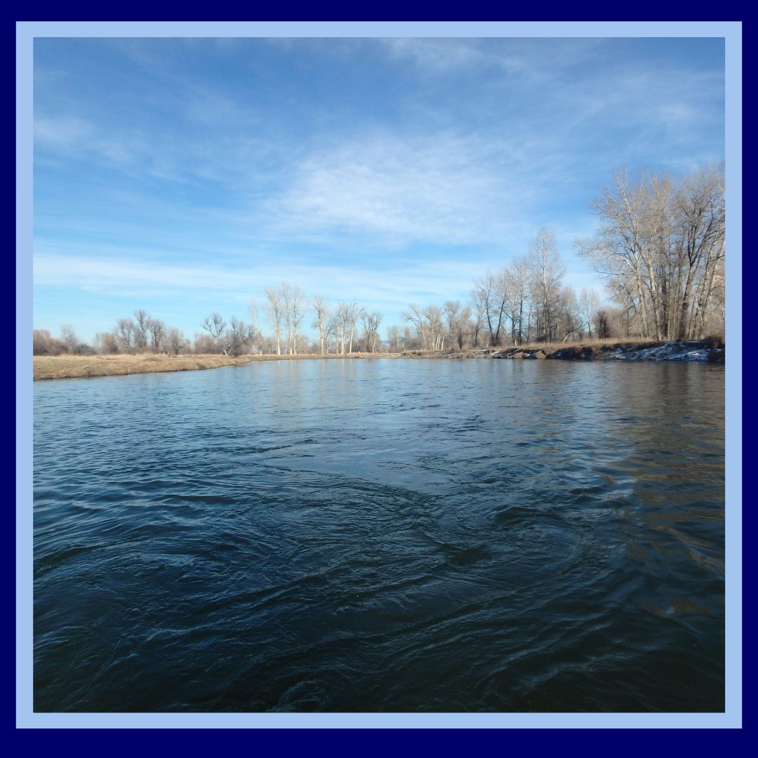 Madison, Jefferson and Ruby Project Button