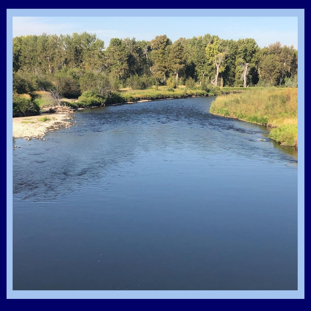 Powell Project Button