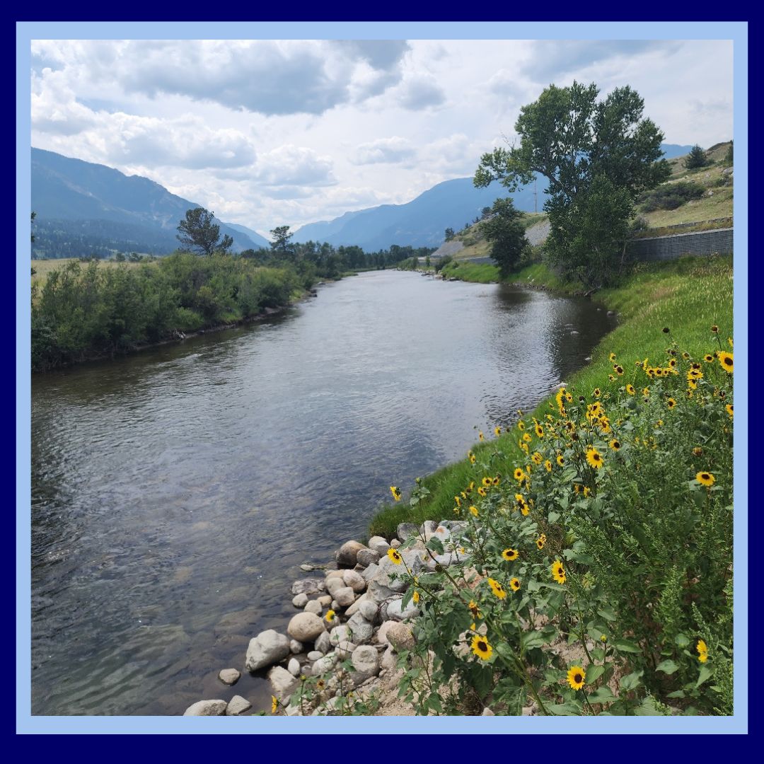 Upper Yellowstone River Basin Project Button