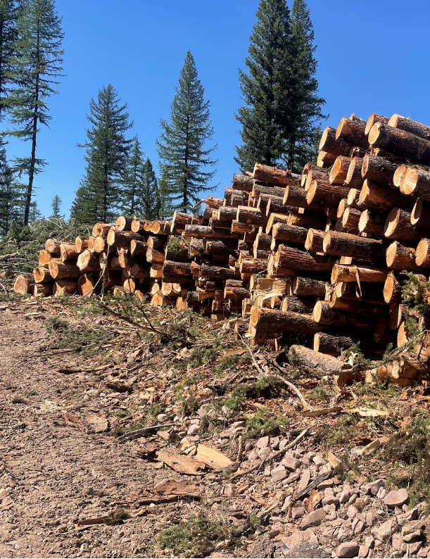 Photo of TImber Piled Up For Sales
