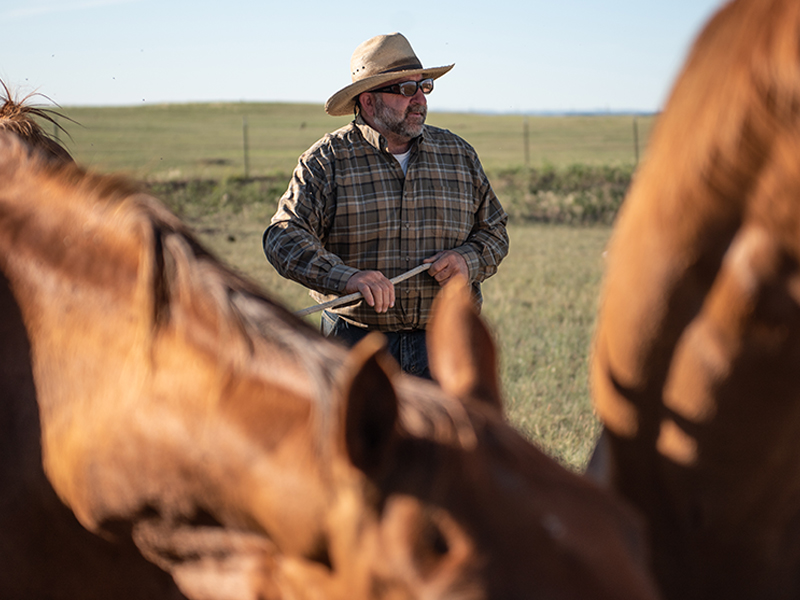 Man on a horse