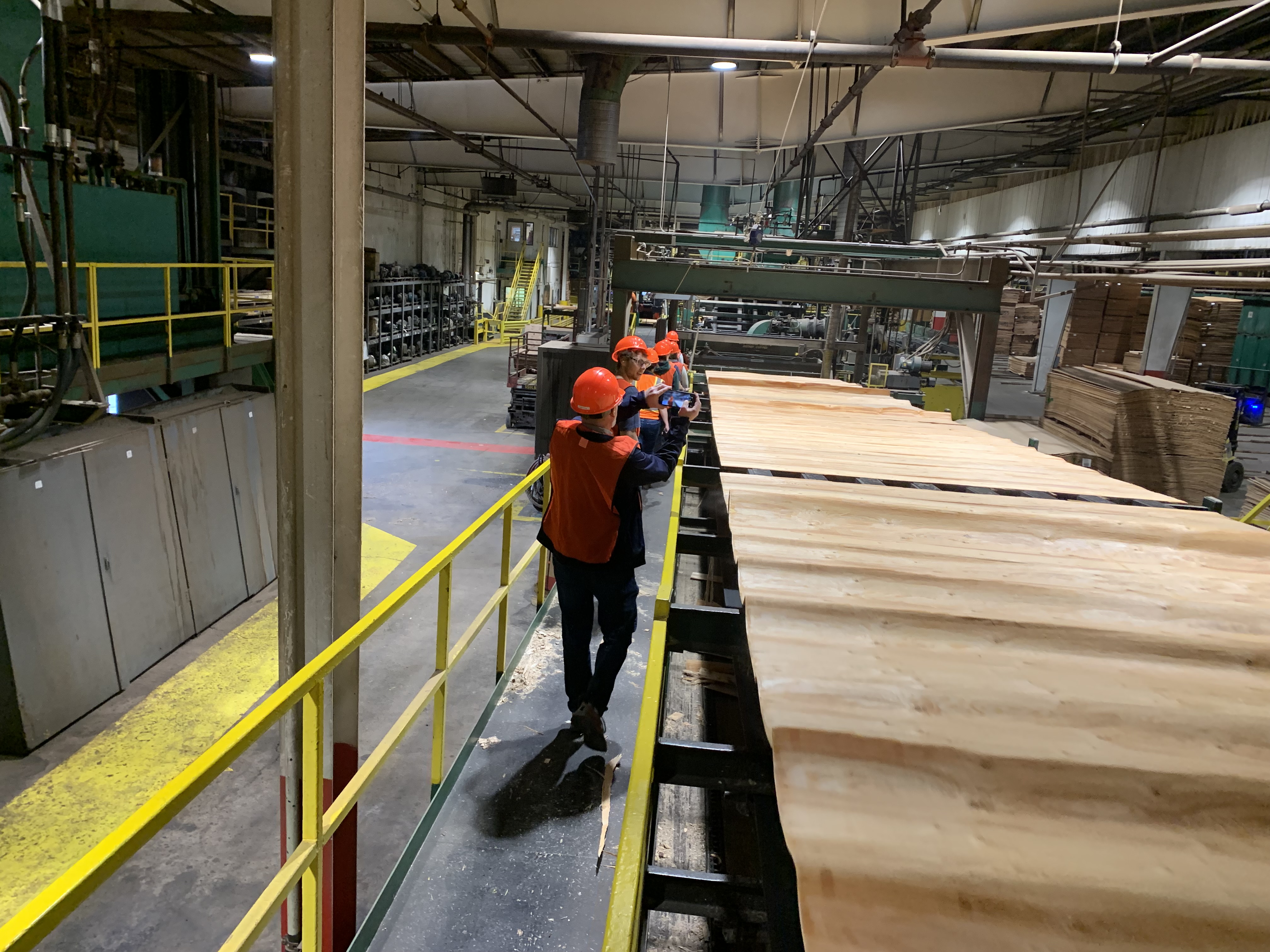 Kalispell Timber Tour