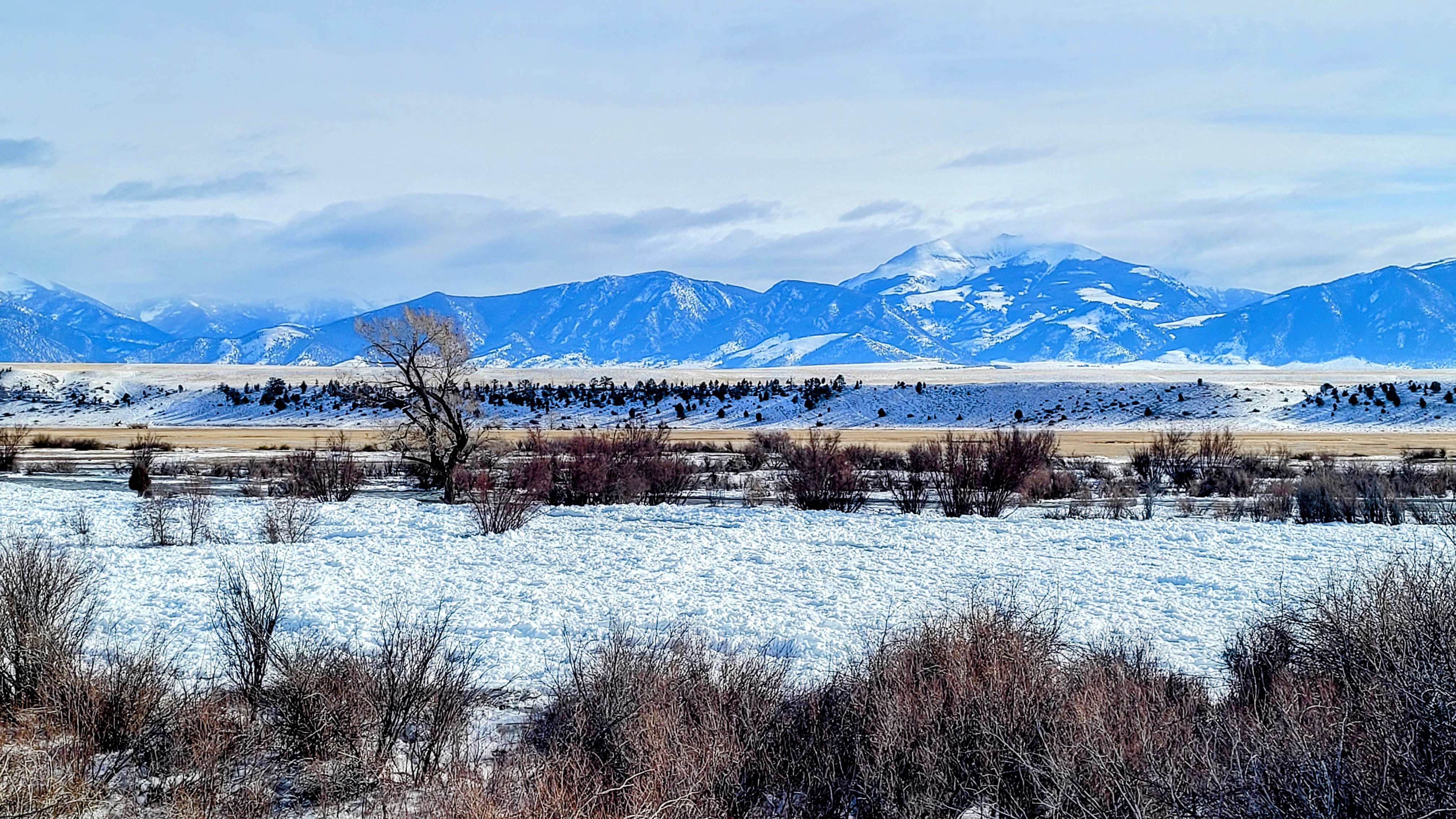 Ice jam flooding on the Madison River with mountain range in background.