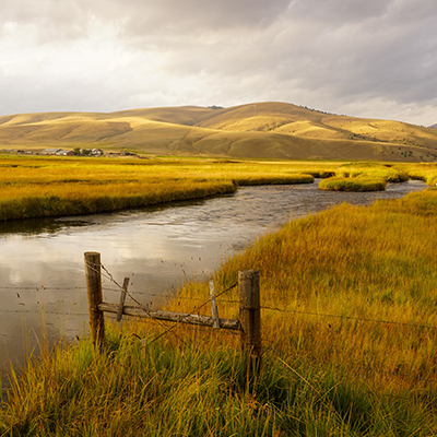 Image of grazing land in montana
