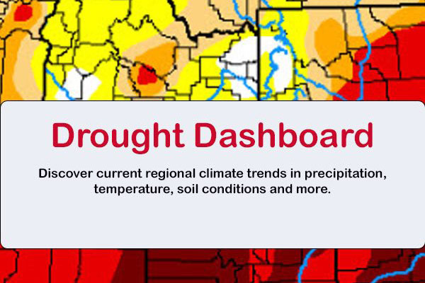 A drought map with the words Drought Dashboard