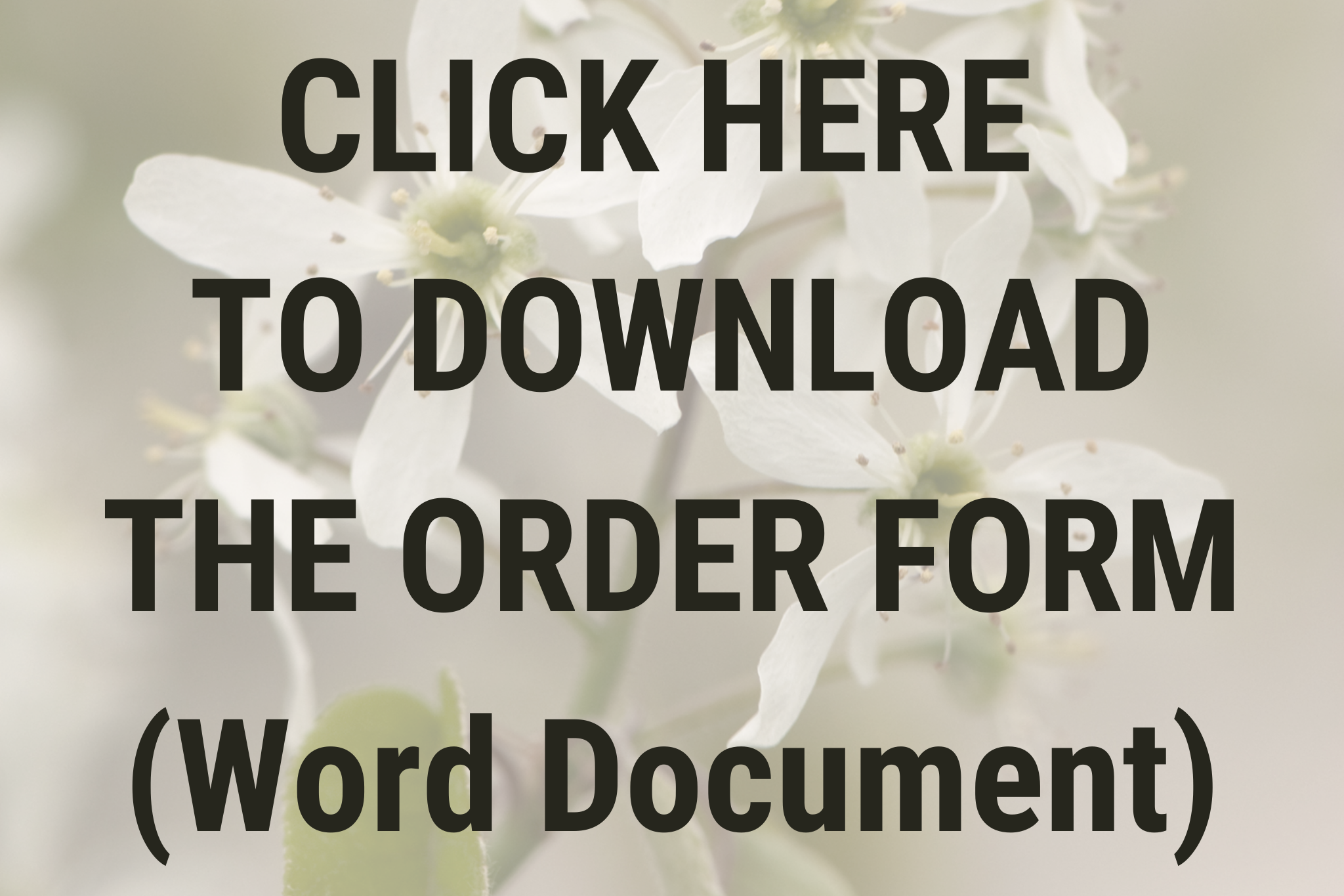 CLICK-HERE-TO-DOWNLOAD-THE-ORDER-FORM-4.png