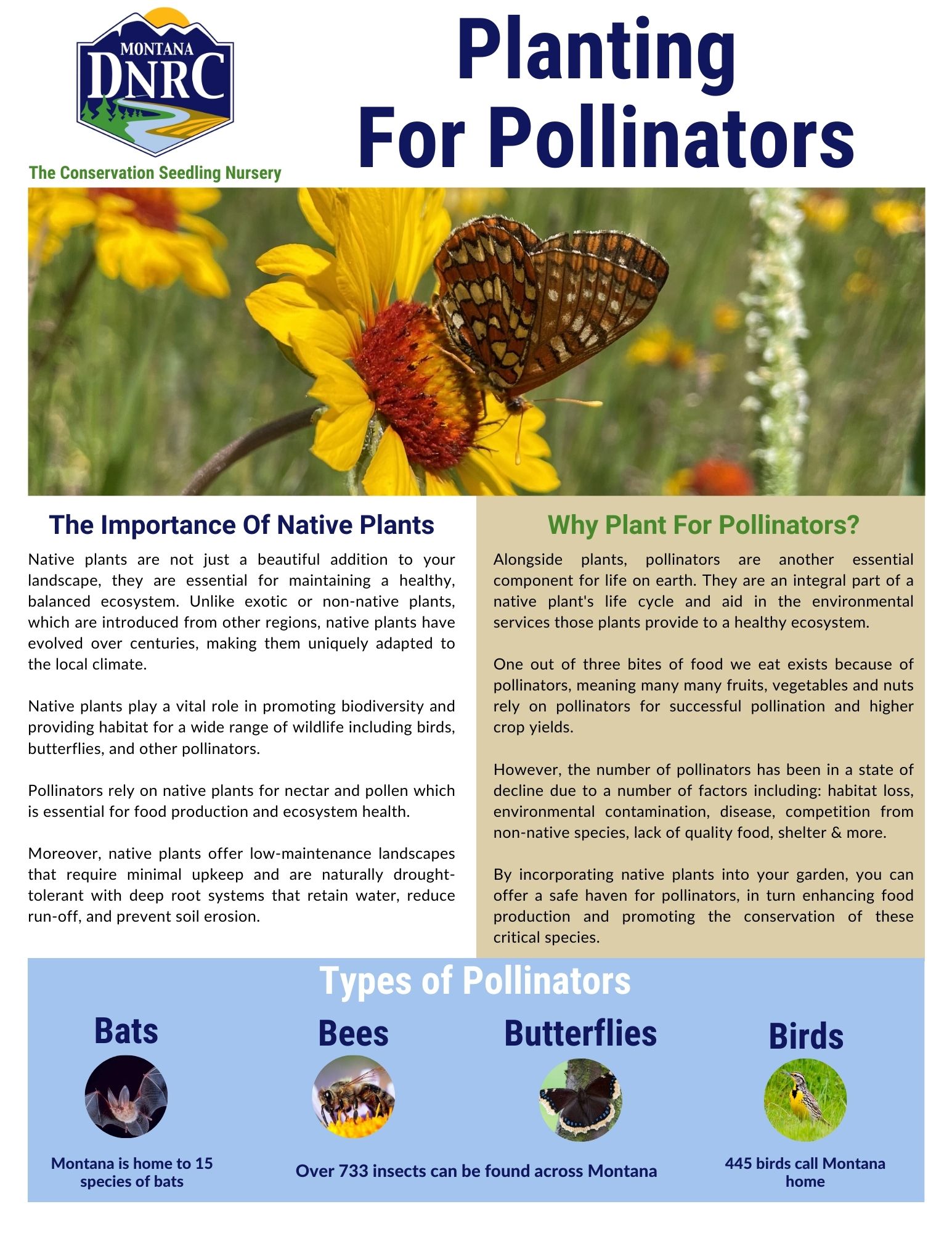 pollinators