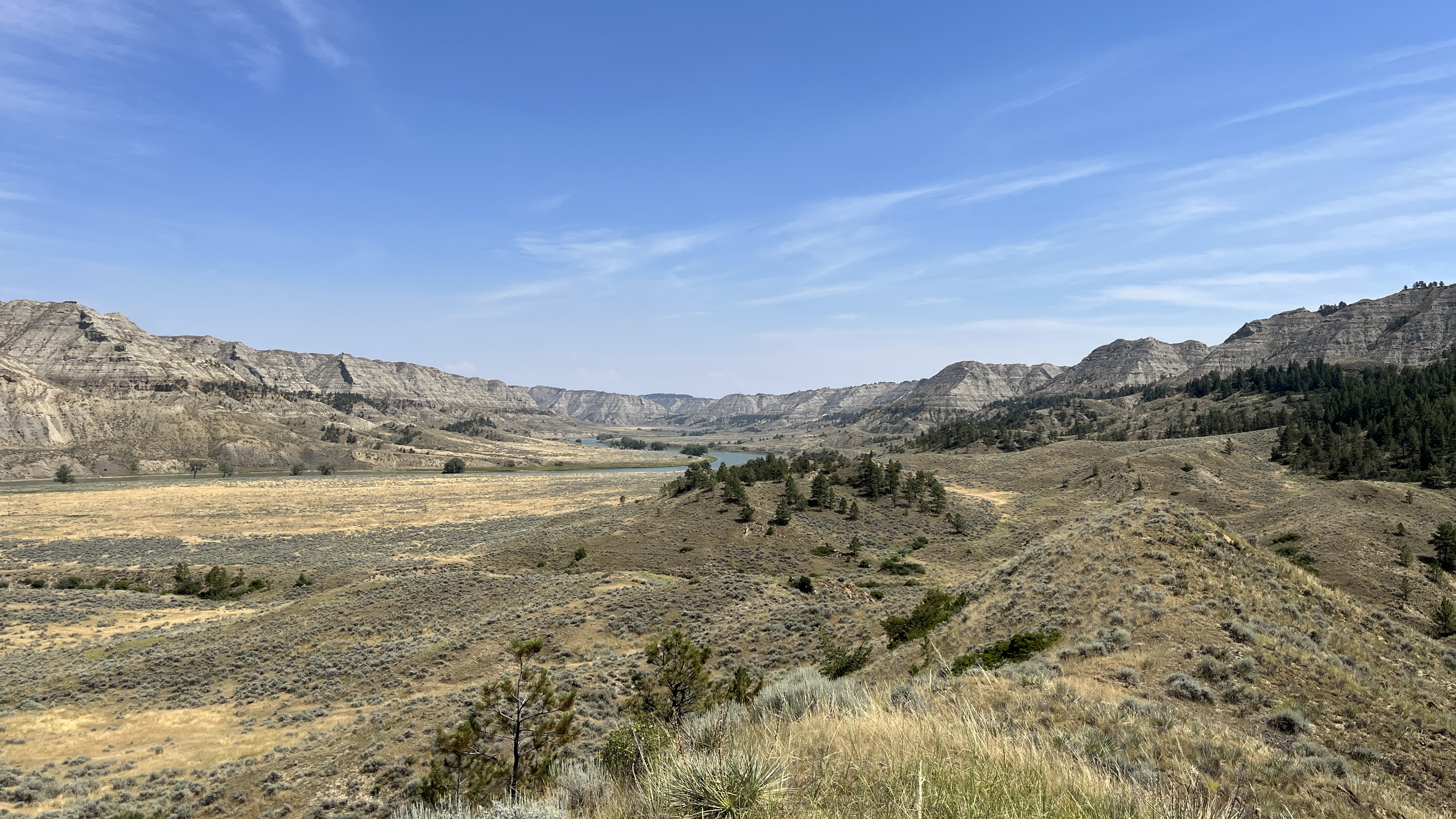 Wide view of a dry grassy valley bordered by layered gray buttes and scattered evergreens under a clear blue sky, showing open central Montana prairie terrain.